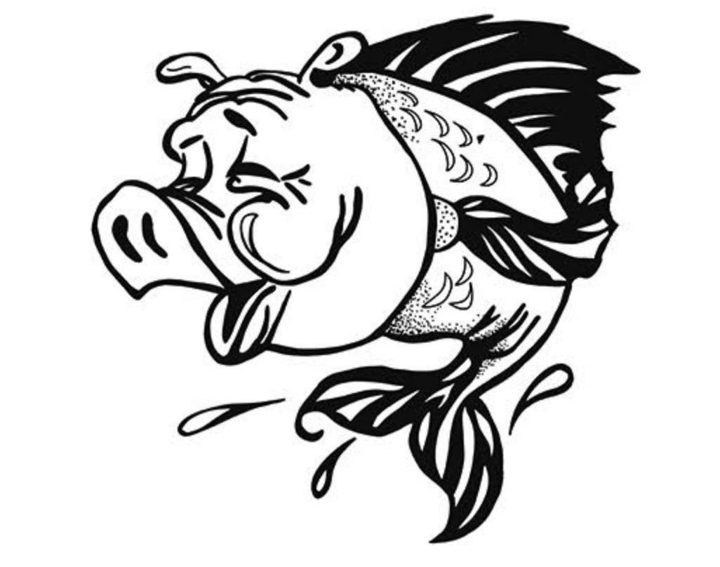 Drawing for a pig fish
